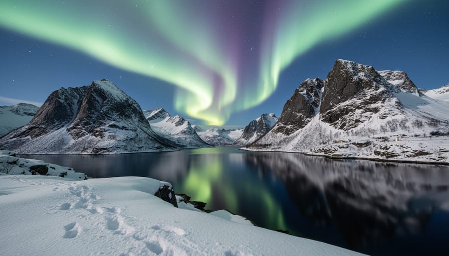 Snowy fjord viewpoint with mountains in the distance and green aurora overhead